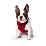 Canada Pooch Everything Harness Water-Resistant