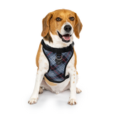 Canada Pooch Everything Harness Water-Resistant