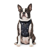 Canada Pooch Everything Harness Water-Resistant