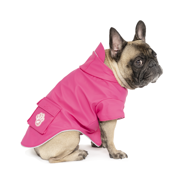 Canada pooch torrential deals tracker