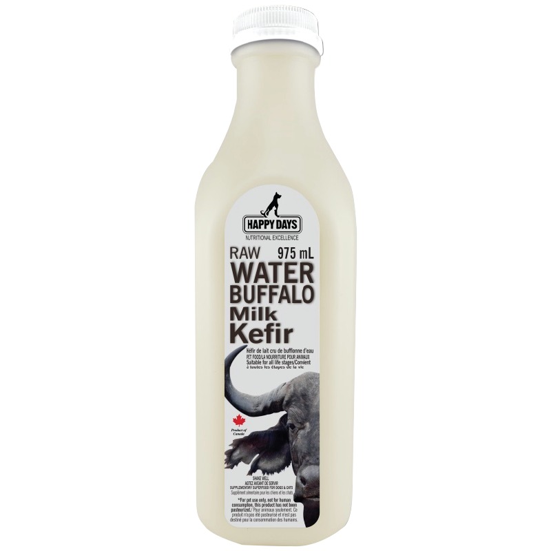 Kefir probiotics for store dogs