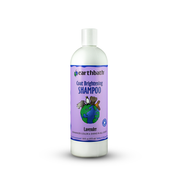 earthbath Coat Brightening Shampoo Lavender 16 oz