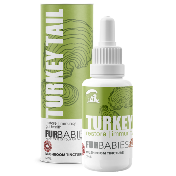 Furbabies Mushroom Tincture Turkey Tail 50ml