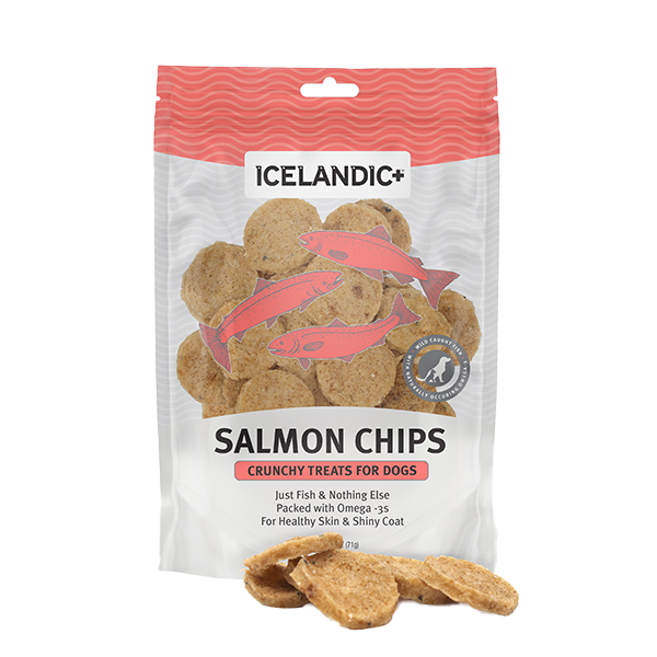 Icelandic+ Dog Salmon Fish Chips 2.5 oz