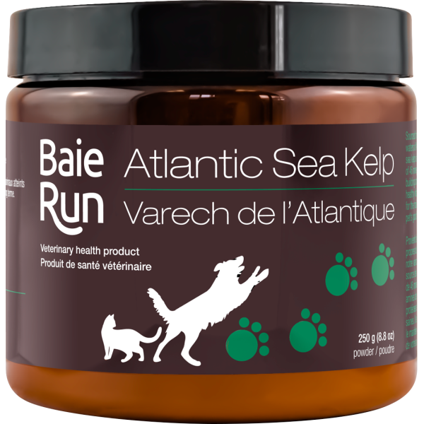 Baie Run Dog/Cat Atlantic Sea Kelp