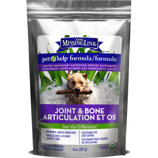 Dog supplements for strong bones hotsell