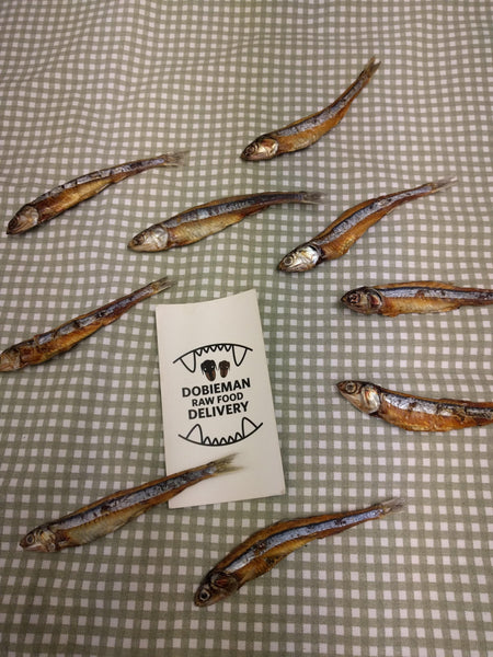 Dehydrated Anchovies - The Raw Connoisseurs